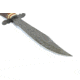 Damascus Crown Stag Hunter Fixed Knife DM1042
