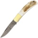 Damascus Lockback Stag Folding Knife, 3in Damascus Steel Drop Point, Stag Bone, DM1168