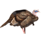Dave Smith Decoys 3/4 Strut Jake Decoy