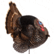 Dave Smith Decoys Jake Strutter Decoy