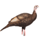 Dave Smith Decoys Upright Hen Decoy