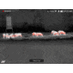 DNT Optics H325R Hound Handheld Thermal Monocular