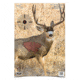 Birchwood Casey Dirty Bird PreGame Animal Targets Deer 16.5x24 Inch 3 Per Package 35401, BCYBC35402