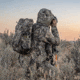 Eberlestock Bandit Daypack, Mirage, H31HR