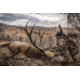 Eberlestock H2 Gunrunner Pack, Dry Earth H2ME