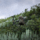 Eberlestock Vapor 2500, Mountain, 2500 C.I., V25AM-V2