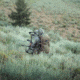 Eberlestock Vapor 2500, Mountain, 2500 C.I., V25AM-V2