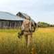 Eberlestock X2 Daypack, Multicam, X2MM-V2