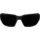 Edge Eyewear Dawson - Black Frame / Polarized Smoke Lenses, Black Frame, TXD416