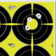 EZ-Aim Allen Non-Adhesive Splash 4 Spot Target, Green, 12X12, 15218