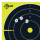 EZ-Aim Non-Adhesive Splash Bullseye Target, Green, 8X8, 15213