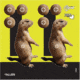EZ-Aim Splash Non-Adhesive Prairie Dog Target, Green, 8X8, 15264