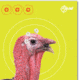 EZ-Aim Splash Non-Adhesive Turkey Target, Green, 12X18, 15267
