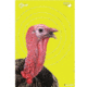 EZ-Aim Splash Non-Adhesive Turkey Target, Green, 12X18, 15267