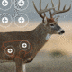 EZ-Aim Splash Non-Adhesive Whitetail Target, Green, 13X24, 15268