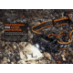 Fenix HM70R Headlamp