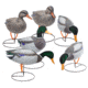 Final Approach Field Mallard 6 Pack Outfitter, Pack Flocked Mallards 474231FA