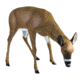Flambeau Grazing Doe Decoy, Brown, 5967GD