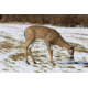 Flambeau Grazing Doe Decoy, Brown, 5967GD