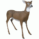 Flambeau Master Series Decoy, Boss Babe Deer 5965MD