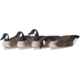 Flambeau Water Pack Canada Goose Decoy