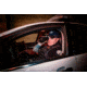 FLIR Systems Scion PTM366 - Thermal Monocular, 640x480, 12um, 60Hz, 25mm Manual, Black, 7TM-01-F330