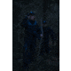 FLIR Systems Scout Pro Thermal Monocular, 30Hz, 640x480 px, Black, Medium, 15001-0101