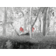 FLIR Systems Scout Pro Thermal Monocular, 30Hz, 640x480 px, Black, Medium, 15001-0101