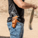 Galco Dao Strongside/Crossdraw Belt Holster, Colt King Cobra 4 1/4in, Right Hand, Tan, DAO370