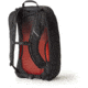 Gregory Arrio 22 Pack, Flame Black, One Size, 136969-7409