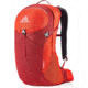 Gregory Citro 24L Daypack - Men's, Brick Red, One Size, 126879-1129