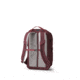 Gregory Terros 25L Backpack