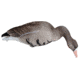 Mayhem Decoys by Heavy Hauler Outdoor Gear Specklebelly Goose Field Decoy, 1 dozen HH0134SPP