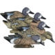 Higdon Outdoors 19953 Standard Blue Wing Teal Species Multi Color Foam Filled 6