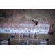 Higdon Outdoors Battleship Oversized Mallards Pack, Flocked Heads, 6 Pack, 16034