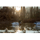 Higdon Outdoors Battleship Oversized Mallards Pack, Flocked Heads, 6 Pack, 16034