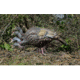 Higdon Outdoors XS TruFeeder Motion Hen Decoy, Lit Bat and Remote, 63171