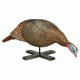 Hunters Specialties Strut Penny Snood Feeder Hen Turkey Decoy, 07603