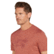 Icebreaker Men Merino 150 Tech Lite SS Tee Van Life, Cedar Wood, L, IB0A572G01ML