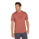 Icebreaker Men Merino 150 Tech Lite SS Tee Van Life, Cedar Wood, L, IB0A572G01ML