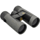 Leupold BX-2 Alpine Binocular, 10x42mm, Roof Prism, Shadow Gray, 176971
