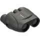 Leupold Rogue 10x25 Compact Porro Prism Waterproof Binoculars, Black 59225