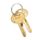 Lockdown Keyed Trigger Lock, Black, 1118824