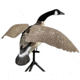 Lucky Duck Lucky Flapper Canada Goose Decoy, 21-10014-1