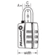 Master Lock Luggage Padlock