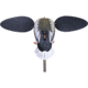 Mojo Baby Drake 2.0 Decoy, Mallard Drake, HW2566