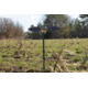 Mojo Elite Series Dove Decoy