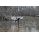 Mojo Elite Series Mini Mallard Drake Decoy HW24703P