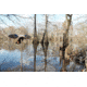 Mojo Elite Series Mini Mallard Hen Decoy