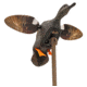 MOJO HW2473-3P ES GADWALL HW24733P